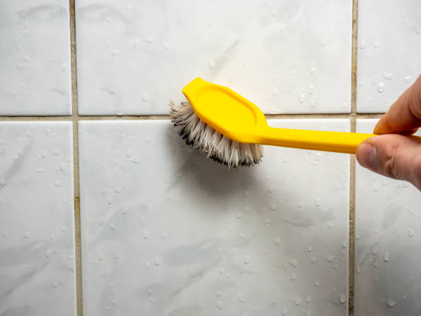 Trusted Dobson, NC Mold Removal Experts