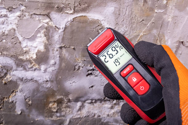 Certified Mold Removal in Dobson, NC