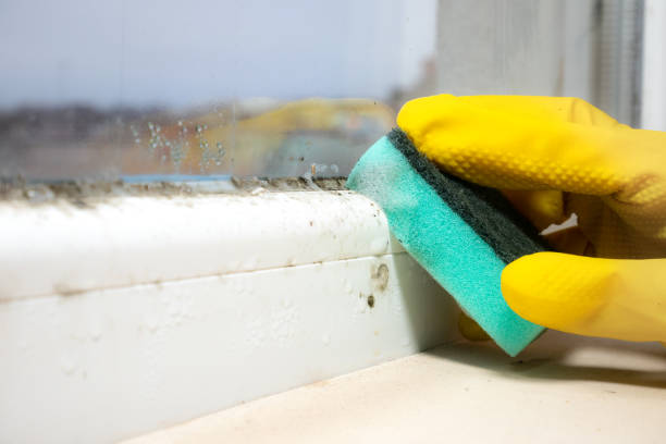 Crawl Space Mold Removal in Dobson, NC